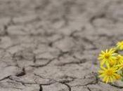 tormenta pasaste trajo vuelta vida