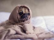 Quienes madrugan tendrían menos riesgo depresión