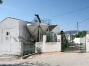 Subvención cooperativas aceite oliva