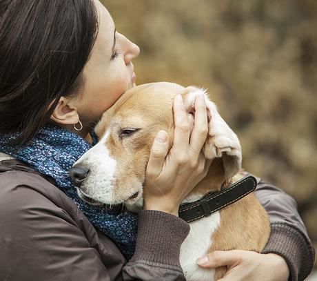 8 beneficios de convivir con una mascota