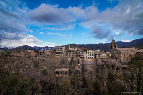 Lo que dejan ven los árboles