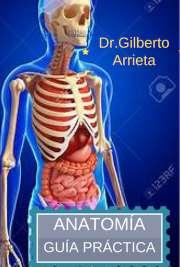 Anatomía. Resumen práctico de miembros superior