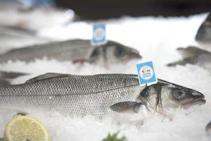 Tartar de Lubina y melocotón