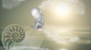 Comprender los contratos de alma: acuerdos que hicimos antes de llegar a la Tierra Leer contratos del alma antes de nacer-bloggernota.com