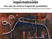 falso jeroglífico egipcio espermatozoide Otro caso extrema imaginación paraeidólica.