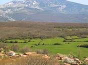 Verdeña