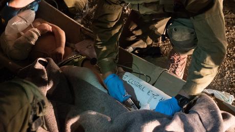 Israel hospitaliza a 6 sirios heridos en los combates más recientes, 4 de ellos recientemente huérfanos