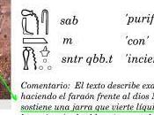 ¿Más espermatozoides jeroglíficos egipcios nuevo caso extrema paraeidolia?