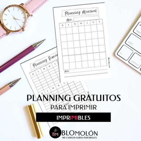 Planning Gratuitos Para Imprimir