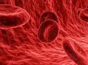 grupo sanguíneo influye estado general salud incidencia algunas enfermedades