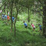 How to trail Run - Asturias