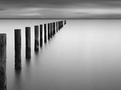 Escolios modernidad,