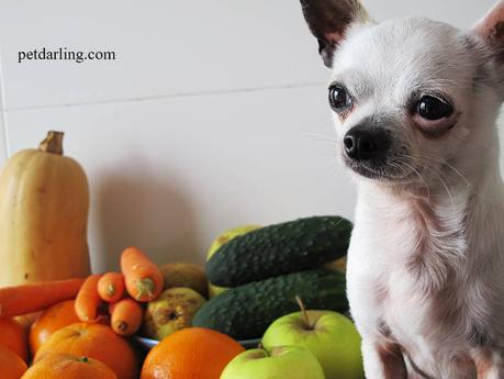 frutas para perros