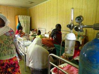 img_9025 (1024x768)-1286025158..jpeg