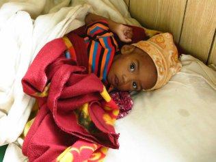 img_9033 (1024x768)-506163560..jpeg