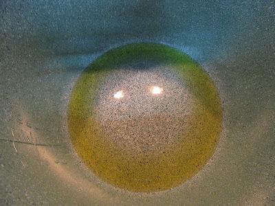 Tortilla de cebolla olla GM