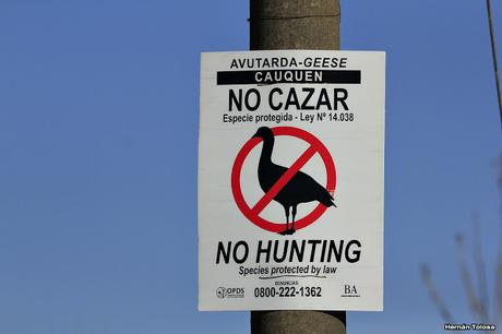 Sur bonaerense  I (Visita al Santuario Natural del Cauquén Colorado)