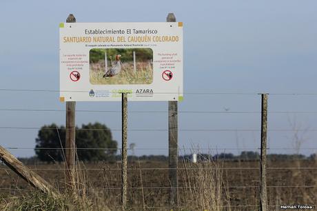 Sur bonaerense  I (Visita al Santuario Naturl del Cauquén Colorado)