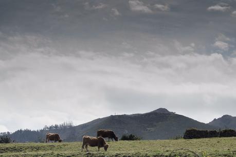 5 recomendaciones si visitas Asturias