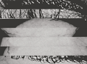 Place Bury Strangers: Anuncia álbum remixes Re-Pinned