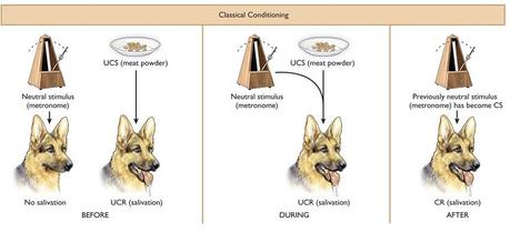 Una introducción a los conceptos básicos del análisis conductual