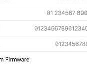 Como detectar copia, clon iPhone falso