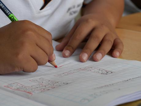 Serotonina, el neurotransmisor que podría acelerar el aprendizaje