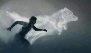 Si sueñas con uno de estos animales, hay importantes mensajes que tu subconsciente quiere hacerte saber soñar con animales.