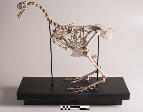 Canción dulce - Leila Slimani Canción dulce - Leila Slimani