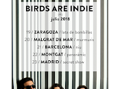 Birds Indie España