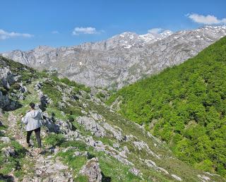 Valdepino y Traviesa de la Jastia desde Angón