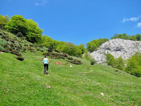 Valdepino y Traviesa de la Jastia desde Angón