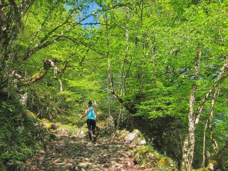 Valdepino y Traviesa de la Jastia desde Angón