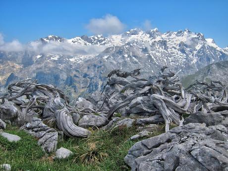 Valdepino y Traviesa de la Jastia desde Angón