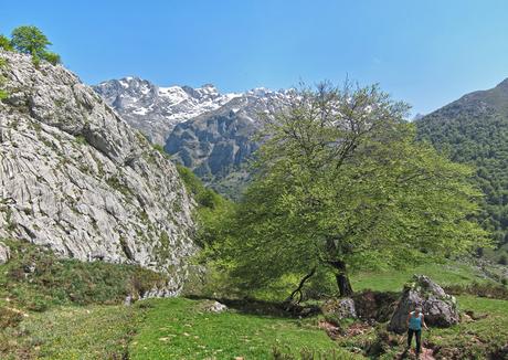 Valdepino y Traviesa de la Jastia desde Angón