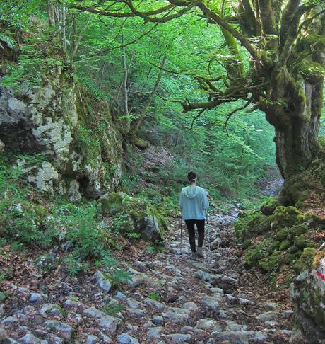 Valdepino y Traviesa de la Jastia desde Angón