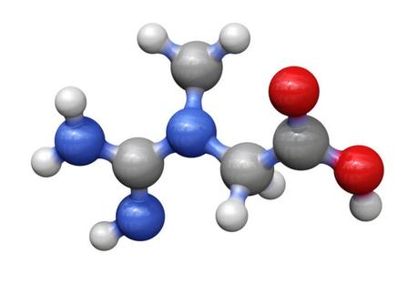 Propiedades de la fenilalanina