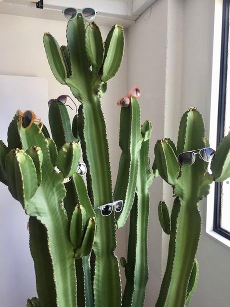 neubau eyewear gafas eco