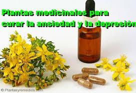 Tratamiento a base de hierbas para la ansiedad: ¿es eficaz?