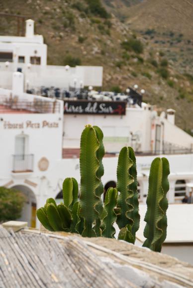 Almería, último reducto de costa virgen Almería, último reducto de costa virgen