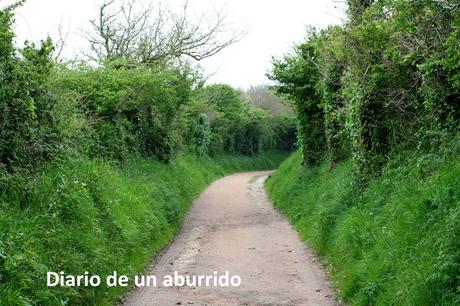 Madame Bovary. (Re)leyendo a Flaubert Madame Bovary. (Re)leyendo a Flaubert