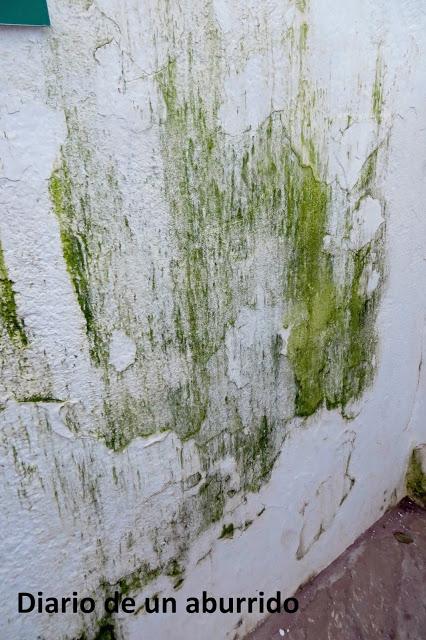 Sobre inundaciones, lodos y aguas hediondas. Fin de año en Manilva Sobre inundaciones, lodos y aguas hediondas. Fin de año en Manilva