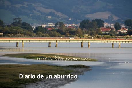 Viaje a Cantabria. Santander y la Marina Oriental Viaje a Cantabria. Santander y la Marina Oriental