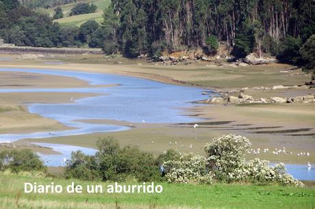 Viaje a Cantabria. Santander y la Marina Oriental Viaje a Cantabria. Santander y la Marina Oriental