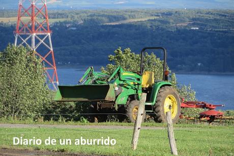 Québec (1): Las ballenas de Tadoussac y otras visitas interesantes al norte de la ciudad de Québec Québec (1): Las ballenas de Tadoussac y otras visitas interesantes al norte de la ciudad de Québec