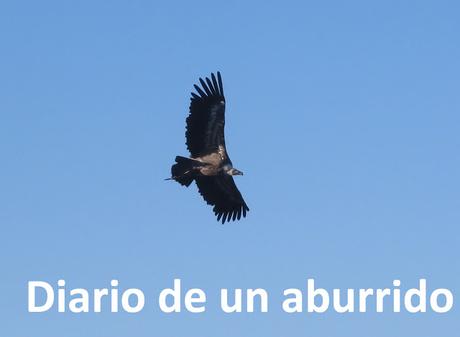 Cosas que hacer en verano en la costa de Málaga