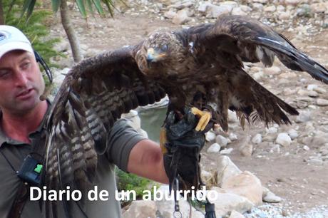 Cosas que hacer en verano en la costa de Málaga