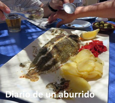 Cosas que hacer en verano en la costa de Málaga