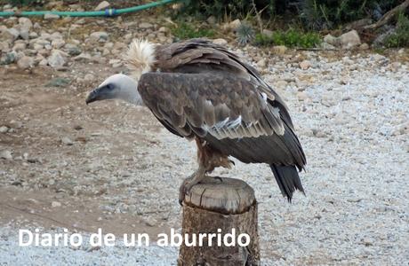 Cosas que hacer en verano en la costa de Málaga