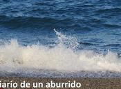 Cosas hacer verano costa Málaga